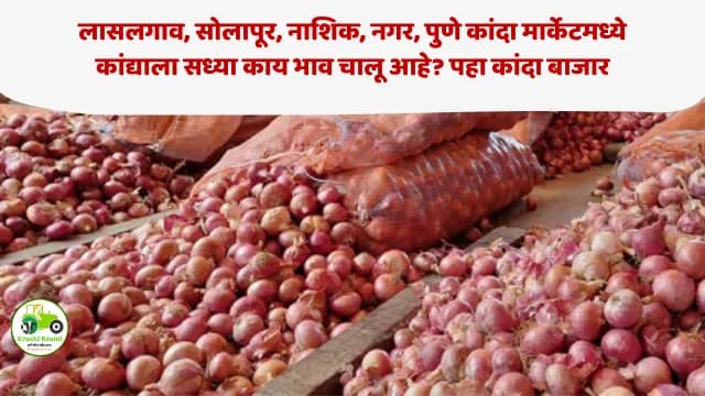 Kanda Market : लासलगाव, सोलापूर, नाशिक , नगर, पुणे कांदा मार्केटमध्ये कांद्याला सध्या काय भाव चालू आहे? पहा कांदा बाजार
