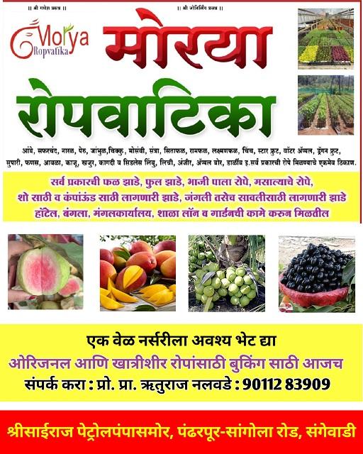 मोरया रोपवाटीका 