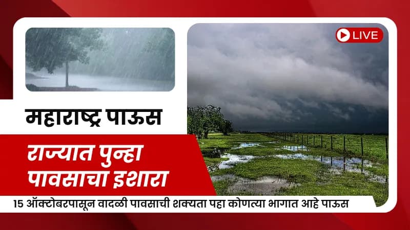 Maharashtra Rain News : राज्यात पुन्हा पावसाचा इशारा, १५ ऑक्टोबरपासून वादळी पावसाची शक्यता