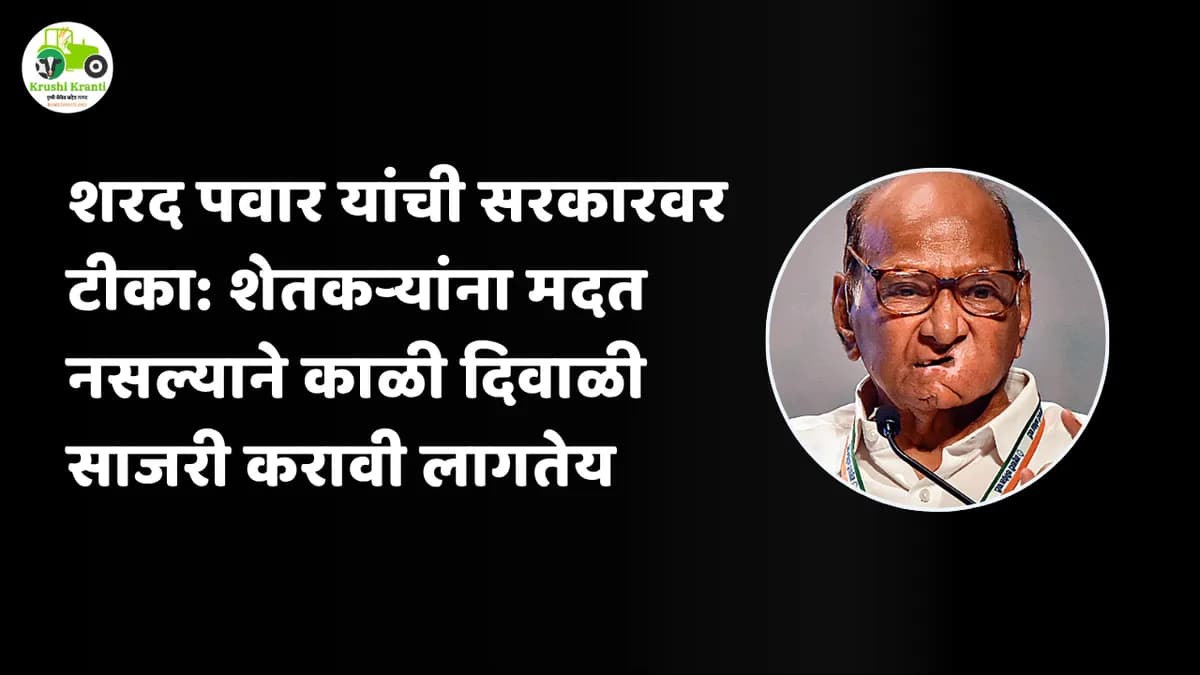 शरद पवार यांची सरकारवर टीका: शेतकऱ्यांना मदत नसल्याने काळी दिवाळी साजरी करावी लागतेय
