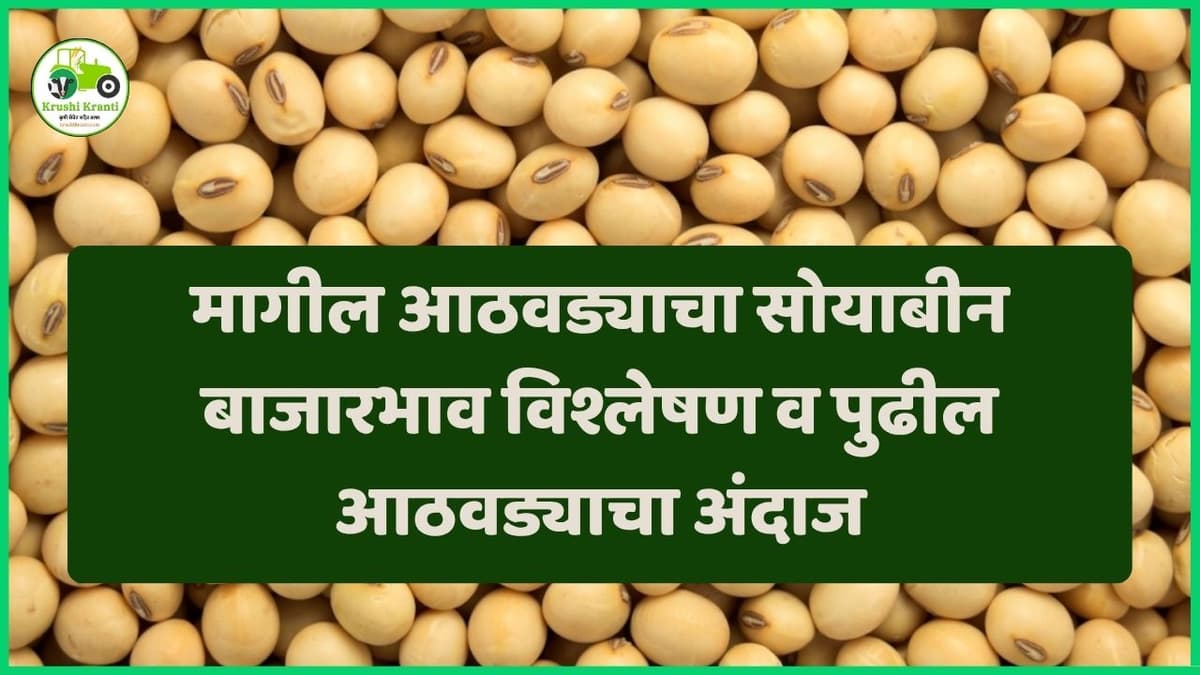 मागील आठवड्याचा सोयाबीन बाजारभाव विश्लेषण व पुढील आठवड्याचा अंदाज