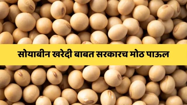 हमीदराने सोयाबीन खरेदीसाठी शासकीय केंद्र सुरू करण्याची मागणी