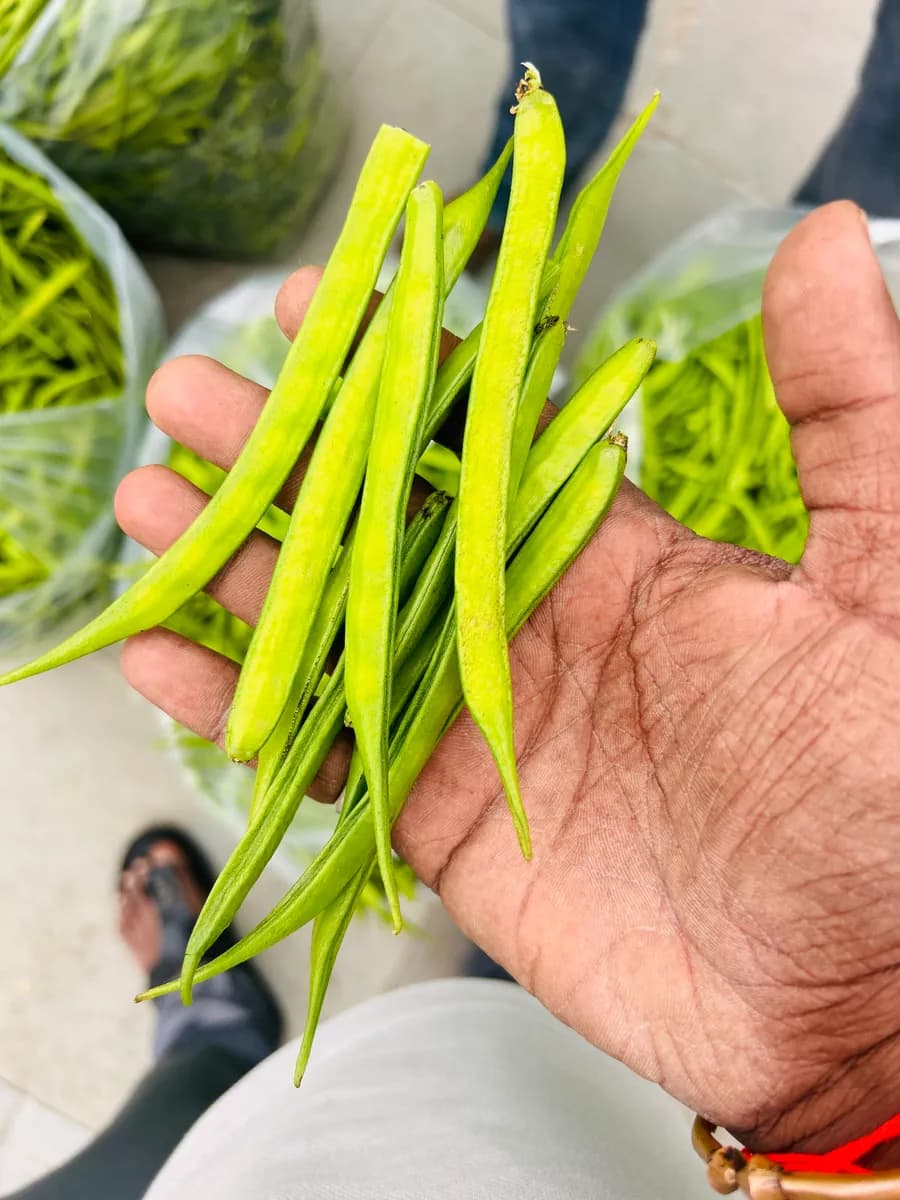 शेतकरी राजा ट्रेडिंग कंपनी 