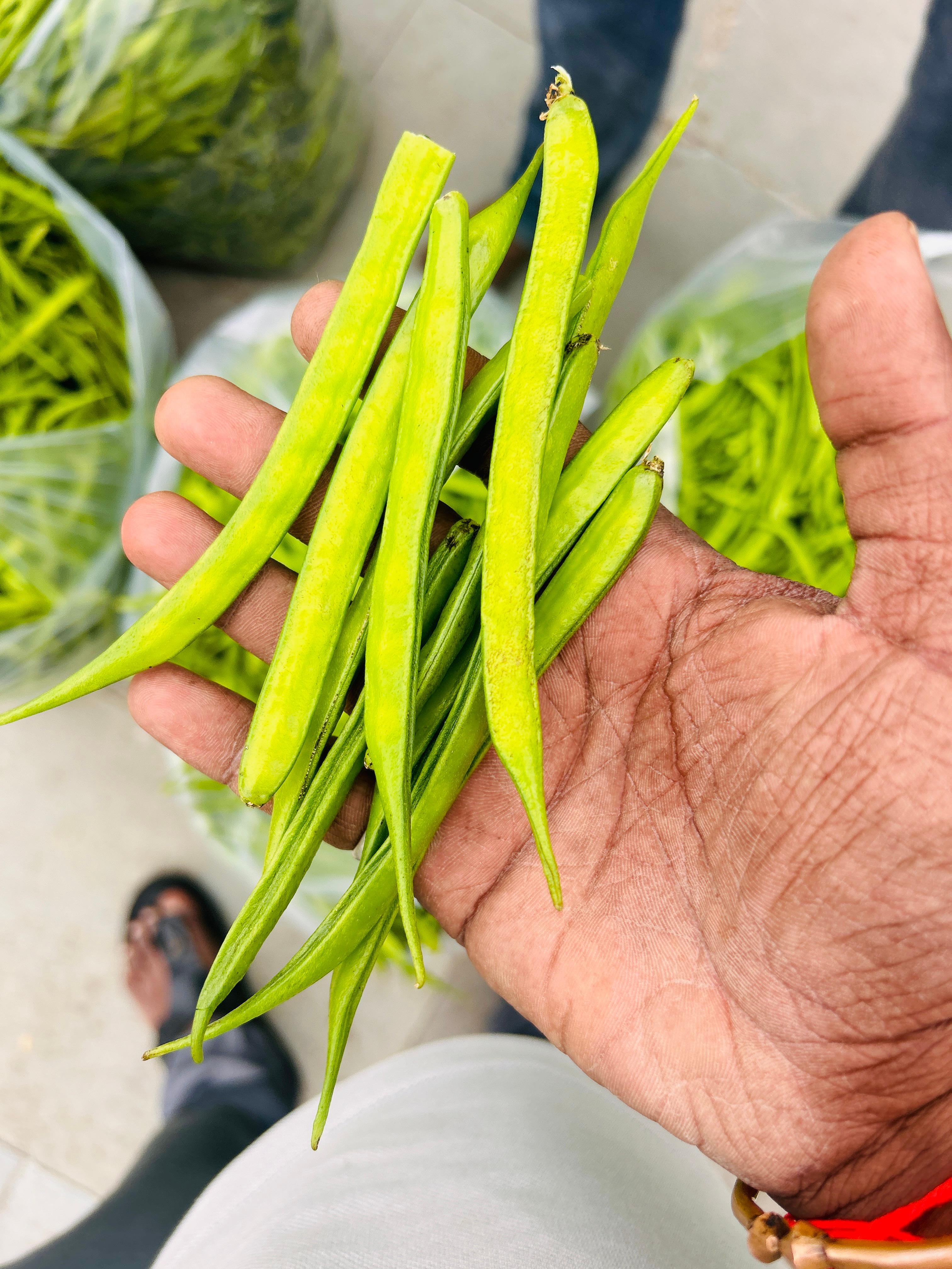 शेतकरी राजा ट्रेडिंग कंपनी 