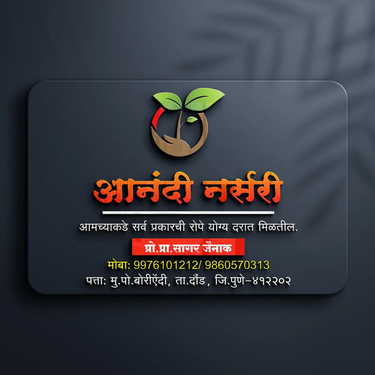 आनंदी नर्सरी