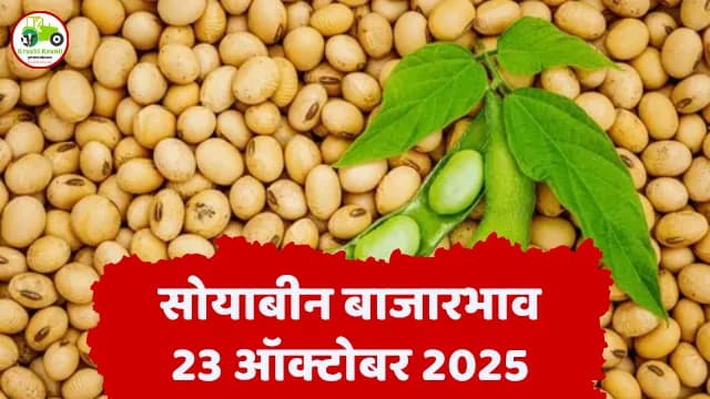 सोयाबीन बाजारभाव 23 ऑक्टोबर 2025 | आजचे राज्यभरातील दर आणि आवक