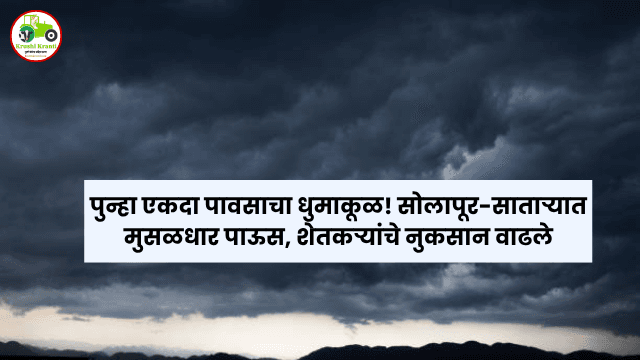 पुन्हा एकदा पावसाचा धुमाकूळ! सोलापूर-साताऱ्यात मुसळधार पाऊस, शेतकऱ्यांचे नुकसान वाढले