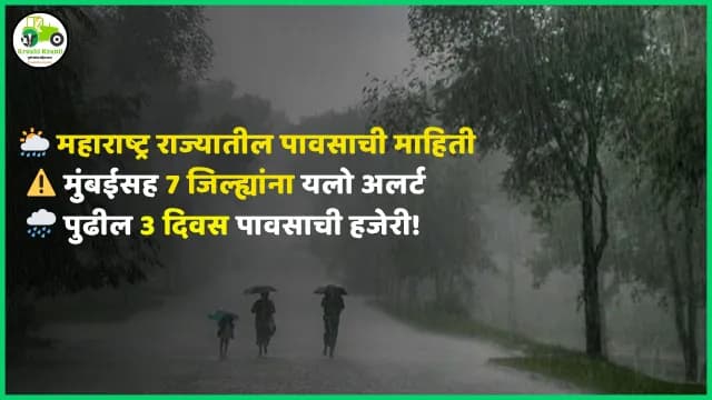 Maharashtra Weather Update: मुंबईसह सात जिल्ह्यांना यलो अलर्ट; पुढील तीन दिवस राज्यात पावसाची हजेरी