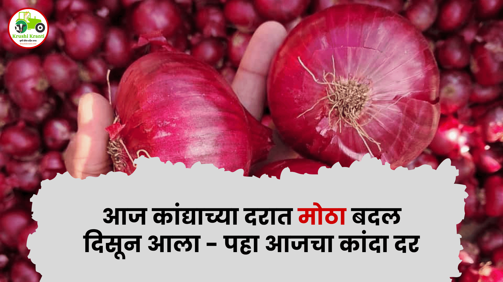 आजचे कांदा बाजारभाव २५ ऑक्टोबर २०२५ | Maharashtra Onion Market Rates