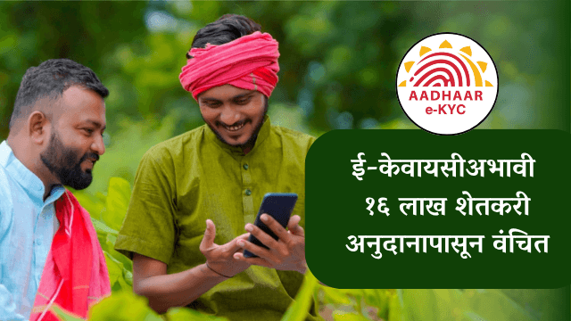 Farmer Subsidy: ई-केवायसीअभावी १६ लाख शेतकरी अनुदानापासून वंचित | २१ लाखांना १५६८ कोटींचे वाटप पूर्ण