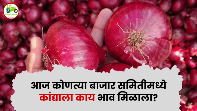 आज कोणत्या बाजार समितीमध्ये कांद्याला काय भाव मिळाला?