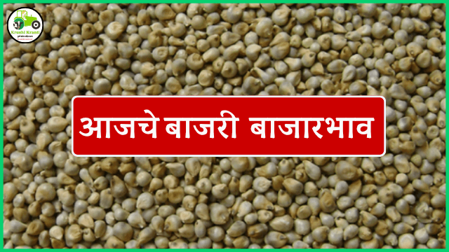 आजचे बाजरी बाजारभाव