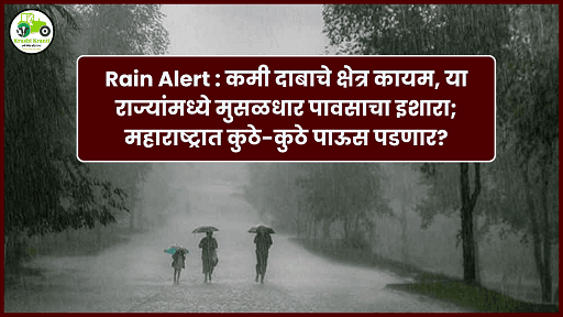 Rain Alert : कमी दाबाचे क्षेत्र कायम, या राज्यांमध्ये मुसळधार पावसाचा इशारा; महाराष्ट्रात कुठे-कुठे पाऊस पडणार?