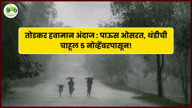 तोडकर हवामान अंदाज : पाऊस ओसरत, थंडीची चाहूल ५ नोव्हेंबरपासून!