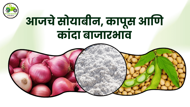 आजचे बाजारभाव ३ नोव्हेंबर २०२५ | सोयाबीन, कापूस आणि कांदा दर पहा महाराष्ट्रातील कोणत्या बाजार समित्यांमध्ये काय भाव मिळा