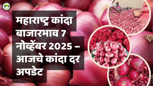 महाराष्ट्र कांदा बाजारभाव 7 नोव्हेंबर 2025 – आजचे कांदा दर अपडेट