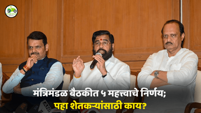 मंत्रिमंडळ बैठकीत ५ महत्त्वाचे निर्णय; पहा शेतकऱ्यांसाठी काय?