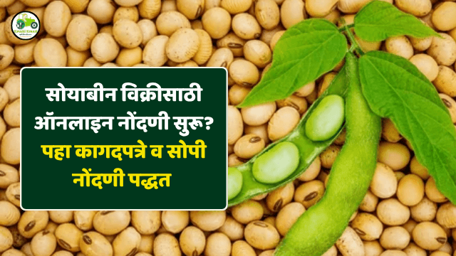 सोयाबीन विक्रीसाठी ऑनलाइन नोंदणी सुरू? पहा कागदपत्रे व सोपी नोंदणी पद्दत