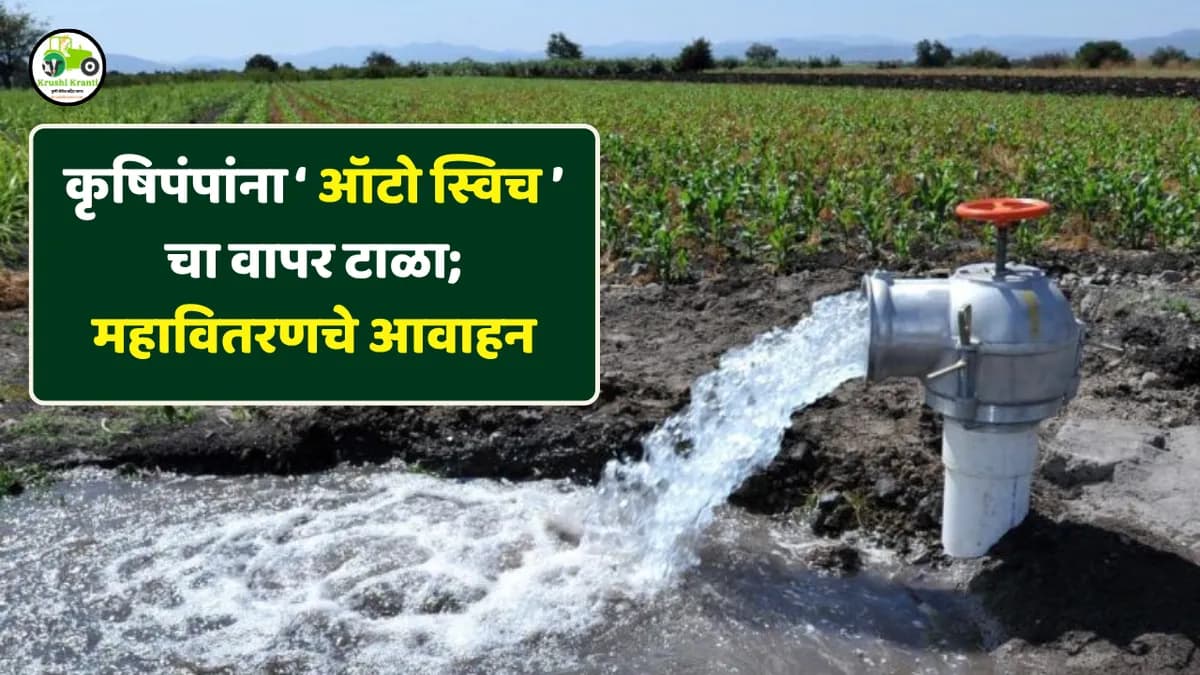 कृषिपंपांना ‘ऑटो स्विच’चा वापर टाळा; महावितरणचे आवाहन