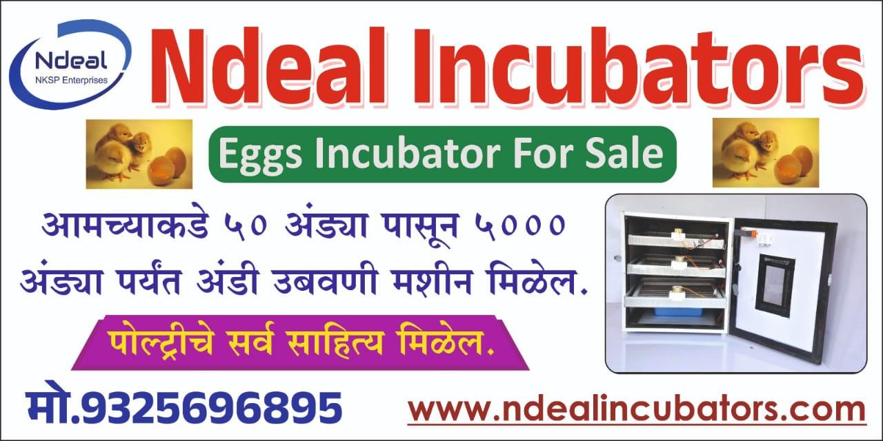 अंड्यातून पिल्लू काढायची मशीन मिळेल