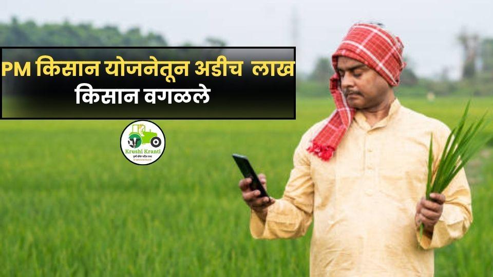 किसान सन्मान योजनेच्या 21व्या हप्त्यात लाभार्थी घट: अडीच लाख शेतकरी वगळले
