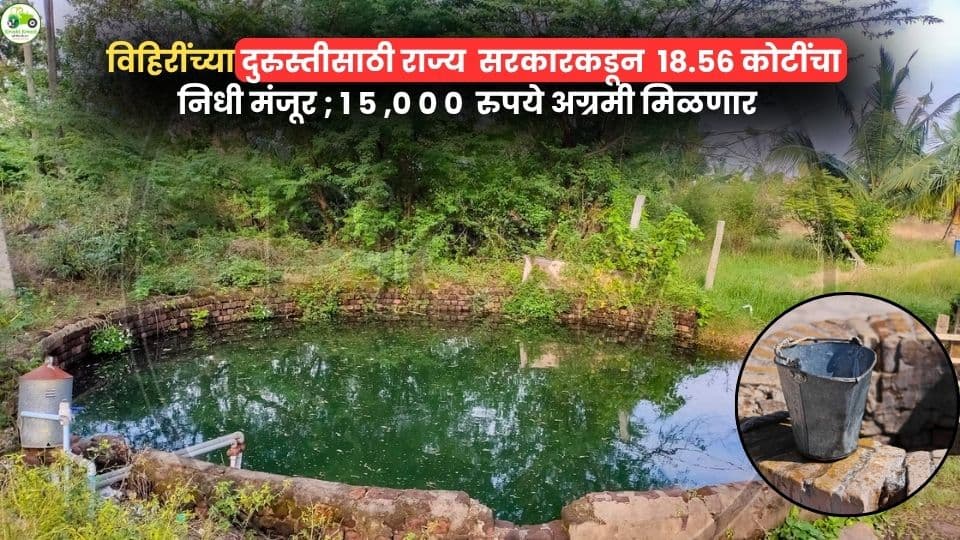 विहिरींच्या दुरुस्तीसाठी राज्य सरकारकडून १८.५६ कोटींचा निधी मंजूर; १५,००० रुपये अग्रीम मिळणार
