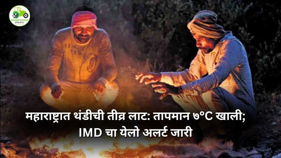 महाराष्ट्रात थंडीची तीव्र लाट: तापमान ७°C खाली; IMD चा येलो अलर्ट जारी
