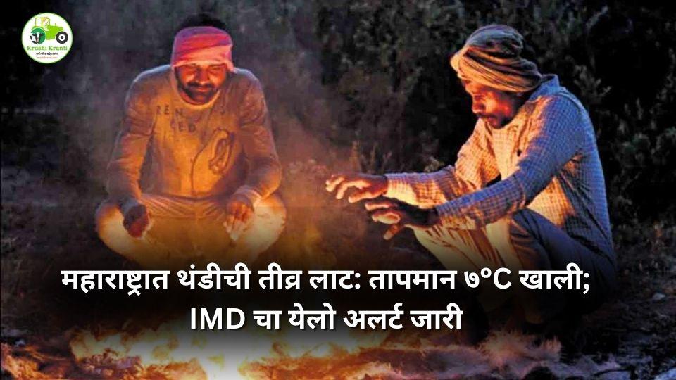 महाराष्ट्रात थंडीची तीव्र लाट: तापमान ७°C खाली; IMD चा येलो अलर्ट जारी