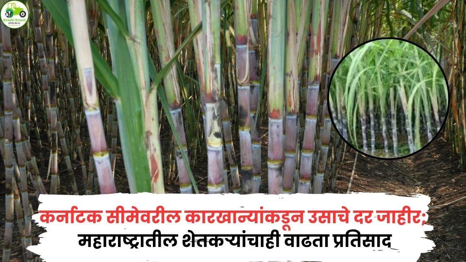 कर्नाटकमधील उसाचे दर निश्चित; शेतकऱ्यांमध्ये चर्चा – 2025-26 हंगामातील FRP किती?