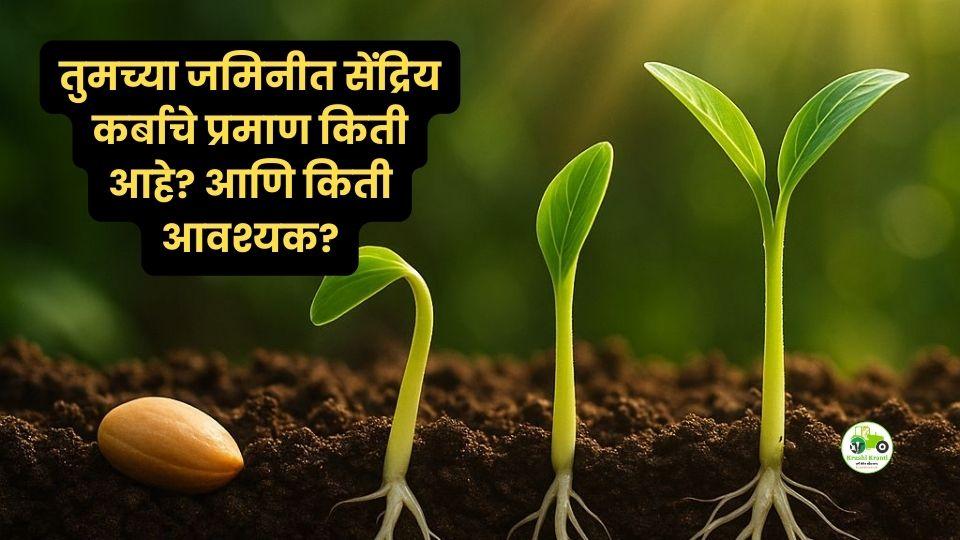 तुमच्या जमिनीत सेंद्रिय कर्ब किती आहे? आदर्श प्रमाण किती आणि ते वाढवायचे कसे?