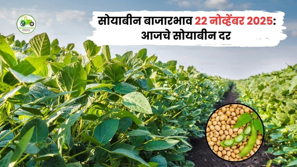 २२ नोव्हेंबर सोयाबीन बाजारभाव: देवणी आणि तुळजापूरमध्ये उच्च दर, अमरावतीत मोठी आवक!