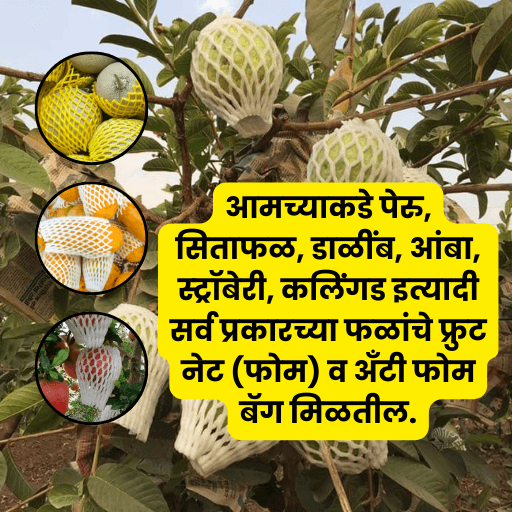 पांडुरंग ॲग्रो इंडस्ट्रीज