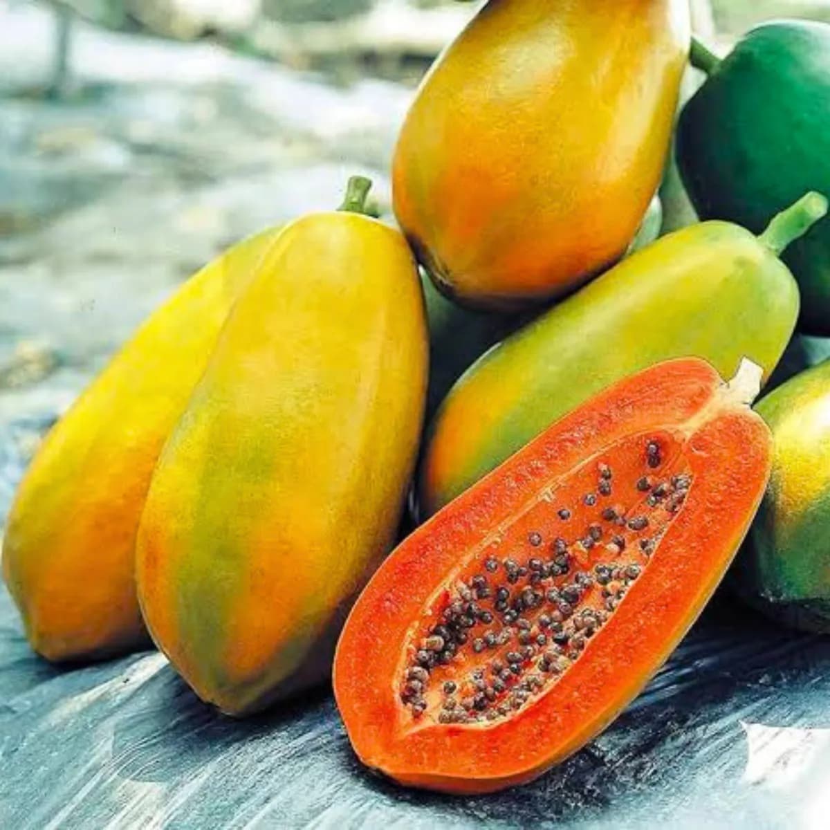 15 नंबर पपई विकणे आहे 