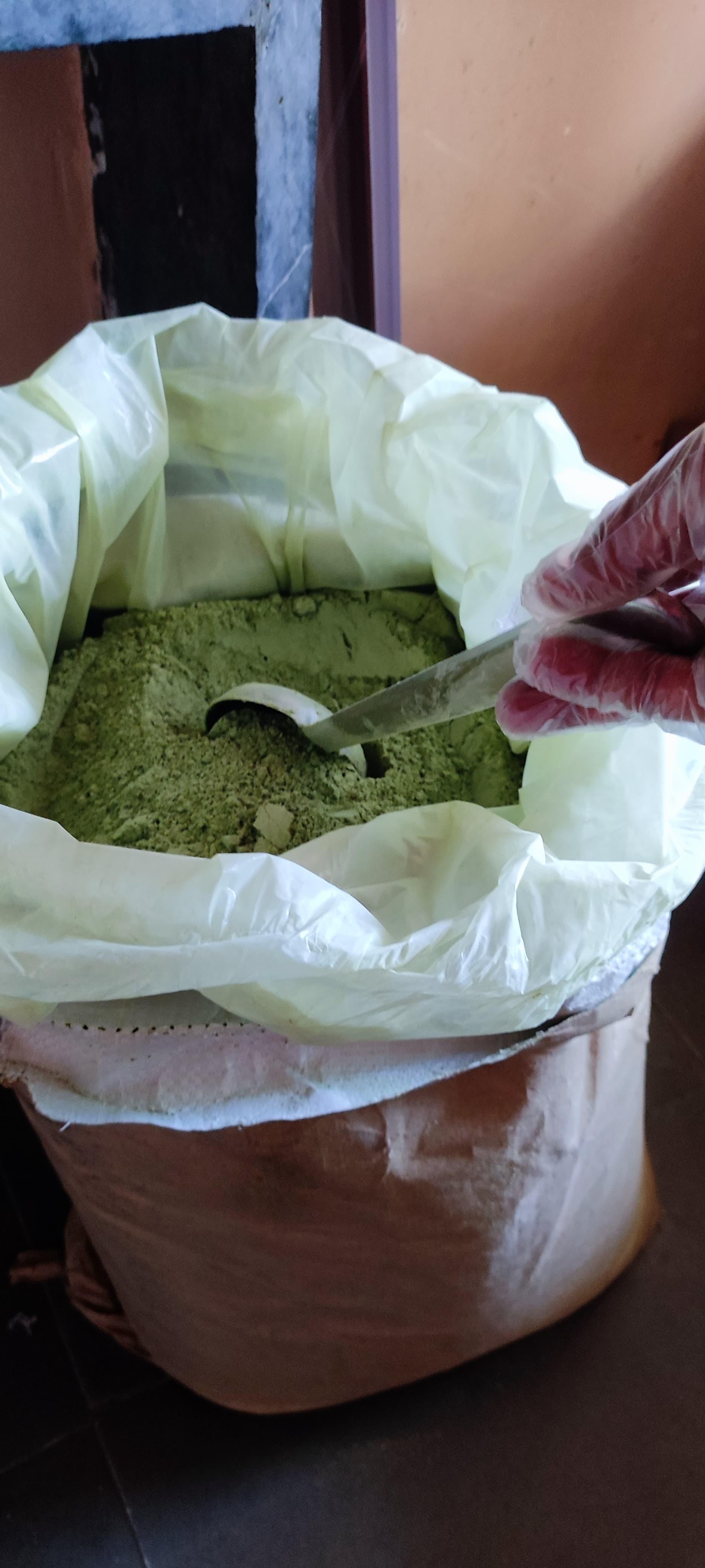 शेवगा पावडर उपलब्ध