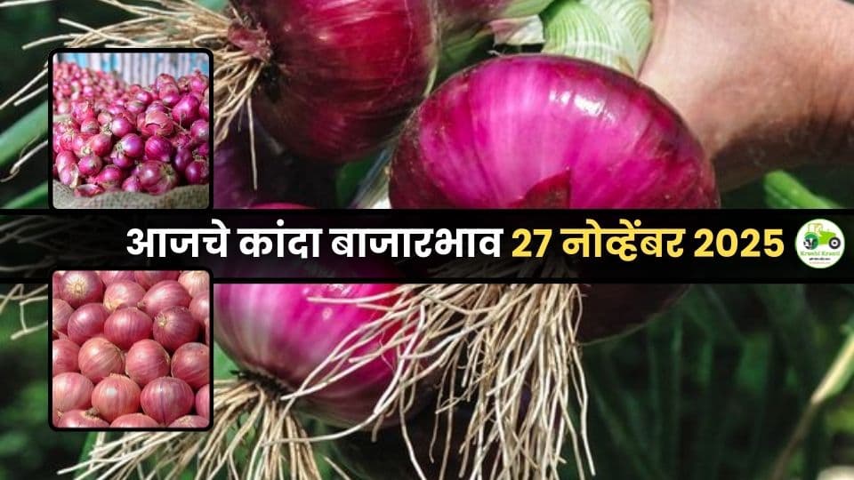 आजचे कांदा बाजारभाव (27 नोव्हेंबर 2025) | महाराष्ट्रातील सर्व बाजारांचे अपडेट
