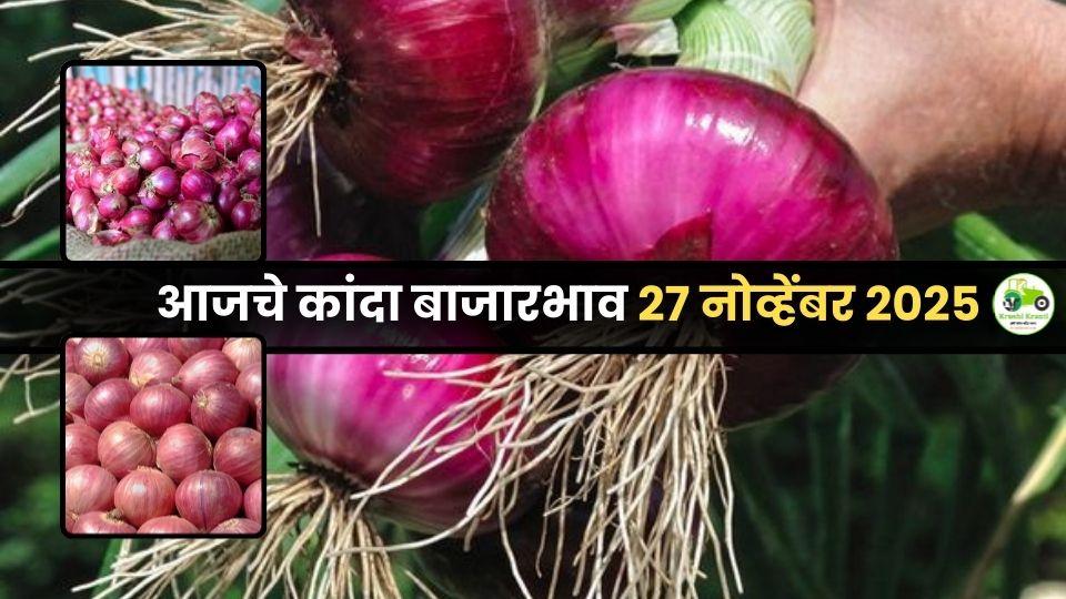 आजचे कांदा बाजारभाव (27 नोव्हेंबर 2025) | महाराष्ट्रातील सर्व बाजारांचे अपडेट

