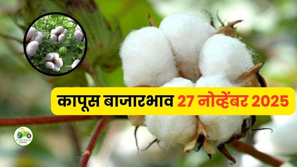 आजचे कापूस बाजारभाव (27 नोव्हेंबर 2025) | महाराष्ट्रातील अमरावती, अकोला, पुलगाव बाजाराचे नवीन दर