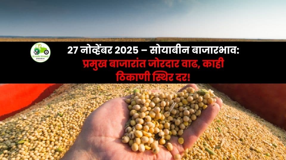 २७ नोव्हेंबर सोयाबीन बाजारभाव: बीड–चिखलीमध्ये मोठी उसळी, अमरावतीत स्थिर दर!