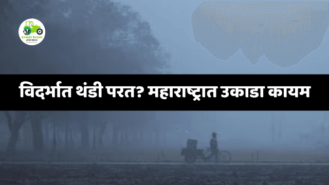 Maharashtra Weather Forecast: विदर्भात तापमानात घट, राज्यात उकाडा कायम