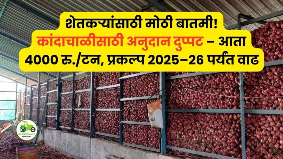 कांदाचाळ अनुदान वाढ! प्रति टन ४००० रुपये व प्रकल्पाची मुदत २०२५–२६ पर्यंत वाढ