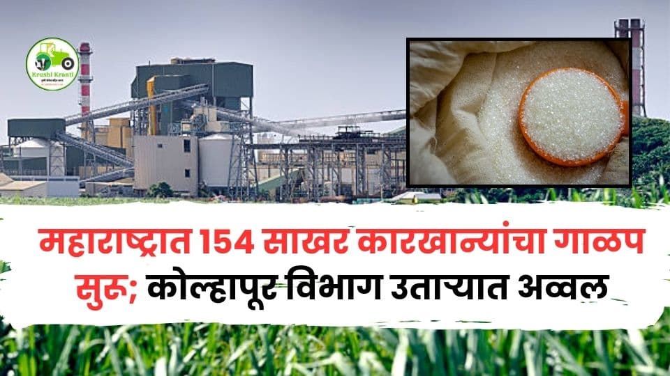 २०२५-२६ ऊस हंगामात साखर उताऱ्यात झेप; कोल्हापूर पुन्हा नंबर-१, राज्यात १५४ कारखाने कार्यरत
