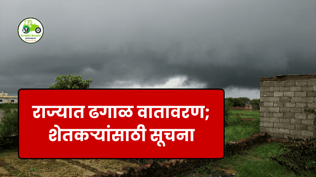 Weather Update: राज्यात ढगाळ वातावरण; शेतकऱ्यांसाठी सूचना
