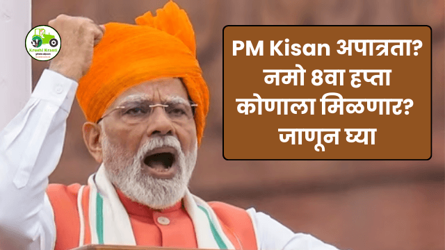 Namo Installment Update: ‘नमो’च्या 8 व्या हप्त्यासाठी किती शेतकरी पात्र?