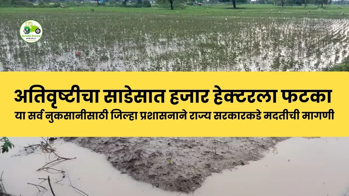 Heavy Rainfall Loss: अतिवृष्टीचा साडेसात हजार हेक्टरला फटका