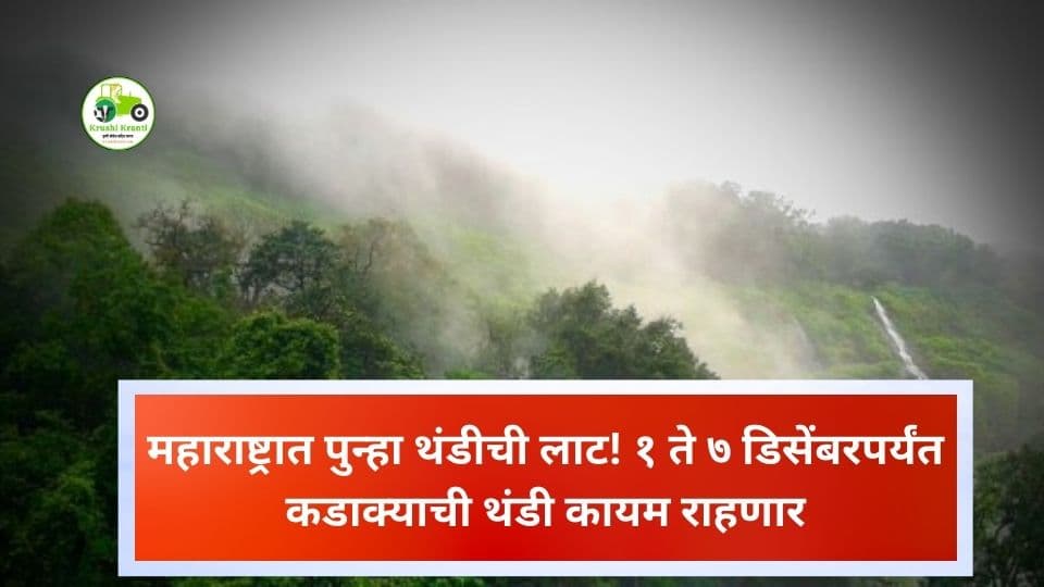 थंडीचा कडाका वाढला! नाशिक–अहमदनगरात ८°C; संकष्टीपर्यंत थंडी कायम