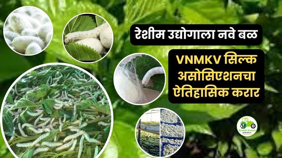 रेशीम व्यवसायात क्रांती? मराठवाड्यात “सिल्क पार्क–सेरीकल्चर स्कूल” संकल्पना वेगाने