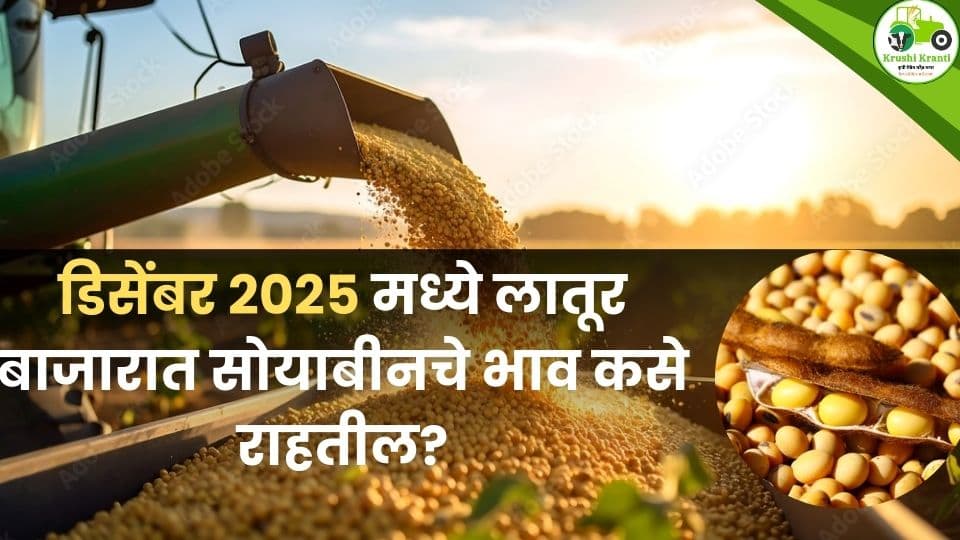 डिसेंबर 2025 सोयाबीन दर अंदाज: लातूर APMC मध्ये किंमत किती राहू शकते?