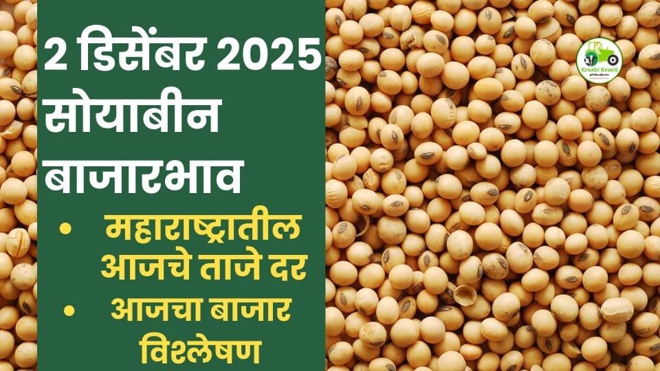 २ डिसेंबर २०२५ सोयाबीन बाजारभाव : महाराष्ट्रातील आजचे ताजे दर