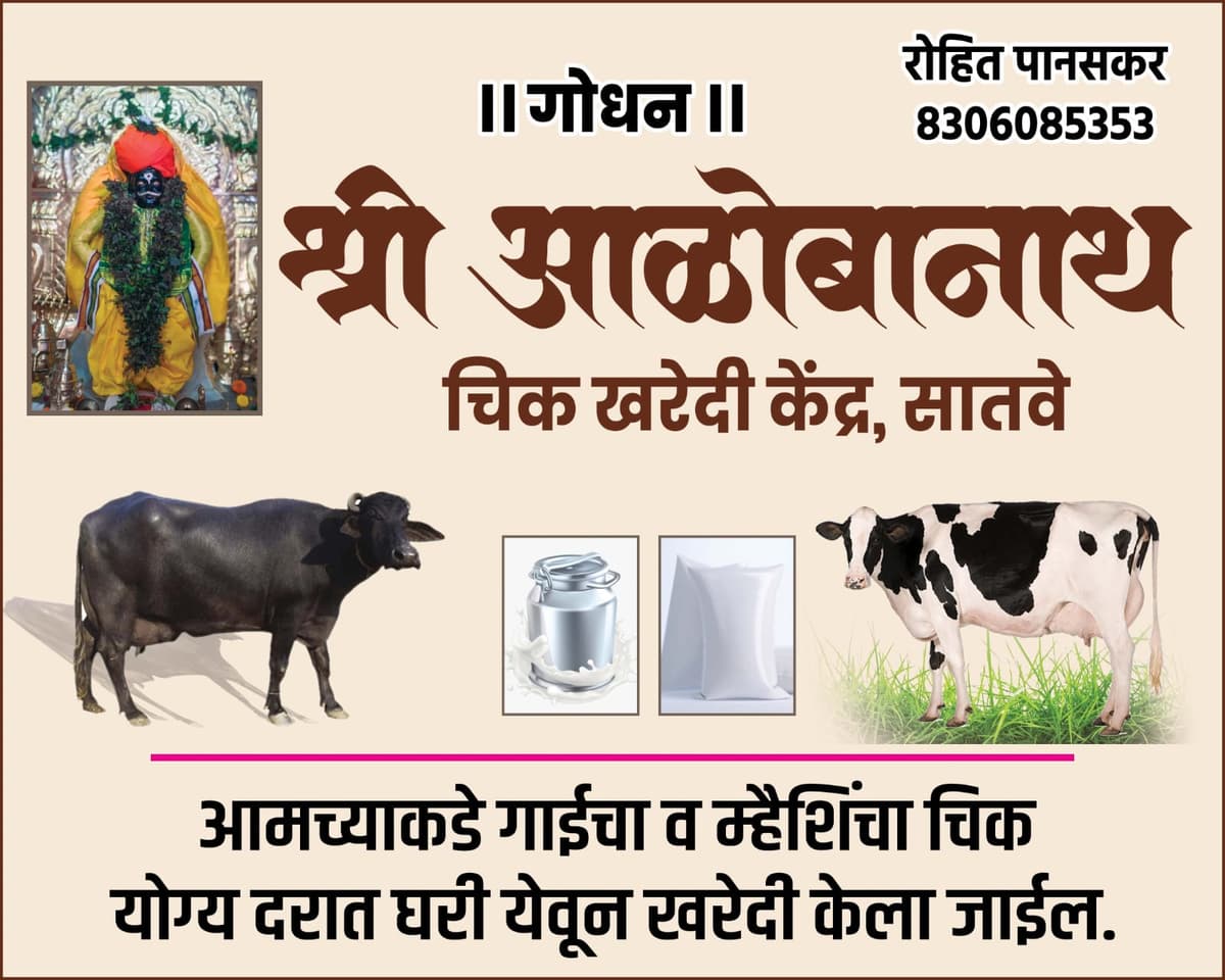 गाई/म्हैस चा चिक विकत पाहिजे