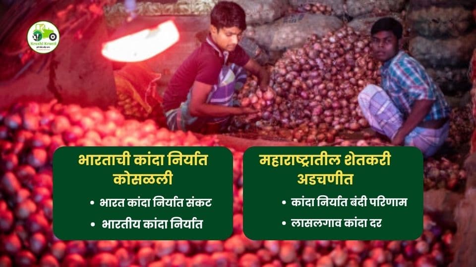 भारतीय कांदा निर्यात कोसळली: बांगलादेश बाजार गमावल्यानंतर नाशिक–लासलगाव शेतकरी अडचणीत